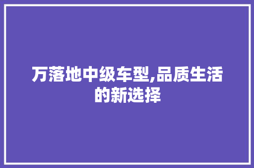 万落地中级车型,品质生活的新选择