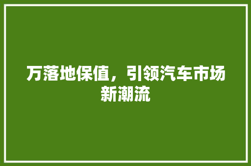 万落地保值，引领汽车市场新潮流