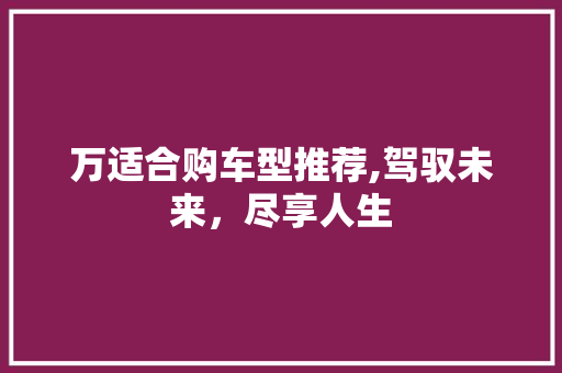 万适合购车型推荐,驾驭未来，尽享人生