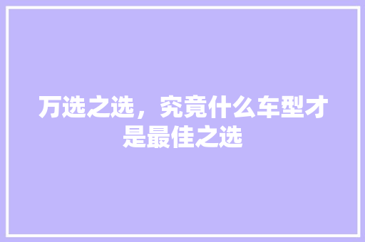 万选之选，究竟什么车型才是最佳之选