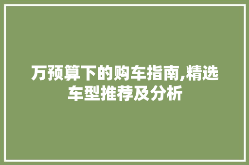 万预算下的购车指南,精选车型推荐及分析