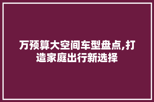 万预算大空间车型盘点,打造家庭出行新选择
