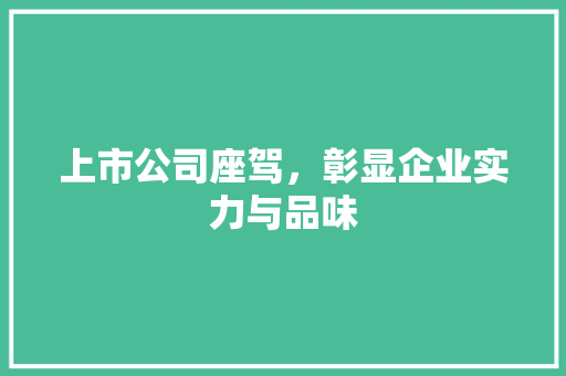 上市公司座驾，彰显企业实力与品味