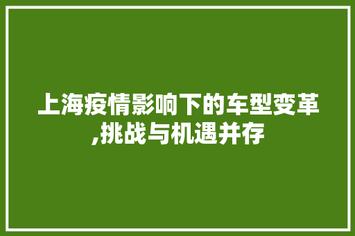 上海疫情影响下的车型变革,挑战与机遇并存