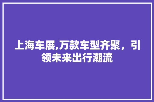上海车展,万款车型齐聚，引领未来出行潮流 新能源汽车