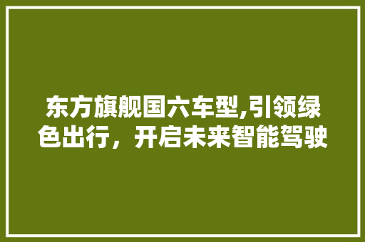 东方旗舰国六车型,引领绿色出行，开启未来智能驾驶新时代