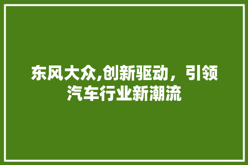 东风大众,创新驱动，引领汽车行业新潮流