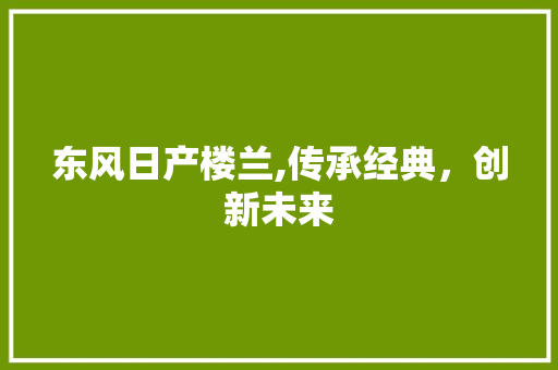 东风日产楼兰,传承经典，创新未来