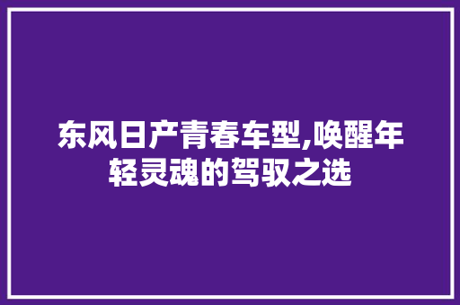 东风日产青春车型,唤醒年轻灵魂的驾驭之选