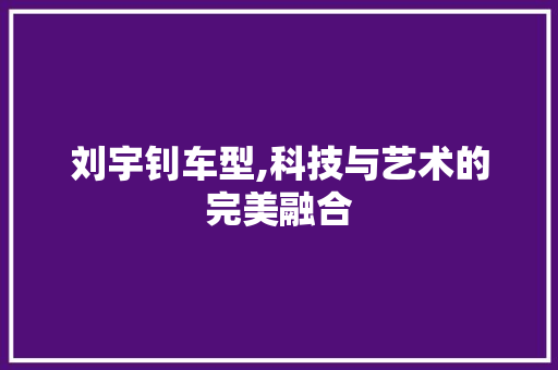 刘宇钊车型,科技与艺术的完美融合