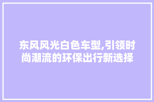 东风风光白色车型,引领时尚潮流的环保出行新选择