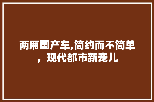 两厢国产车,简约而不简单，现代都市新宠儿