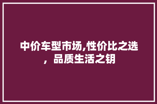 中价车型市场,性价比之选，品质生活之钥