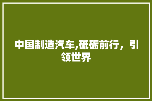 中国制造汽车,砥砺前行，引领世界 新能源汽车