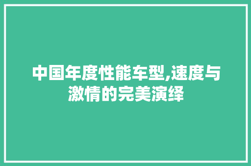 中国年度性能车型,速度与激情的完美演绎