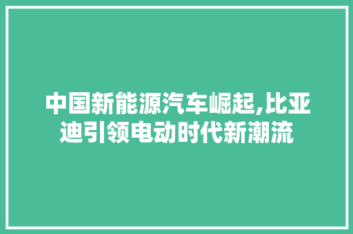 中国新能源汽车崛起,比亚迪引领电动时代新潮流