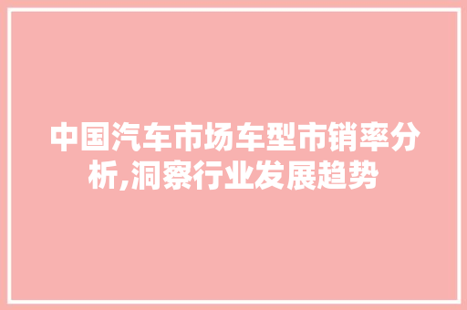 中国汽车市场车型市销率分析,洞察行业发展趋势