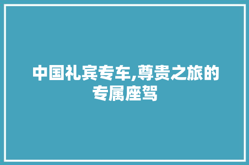 中国礼宾专车,尊贵之旅的专属座驾