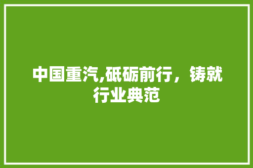 中国重汽,砥砺前行，铸就行业典范