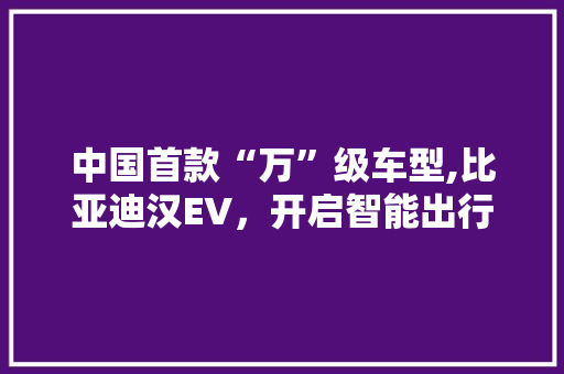 中国首款“万”级车型,比亚迪汉EV，开启智能出行新时代