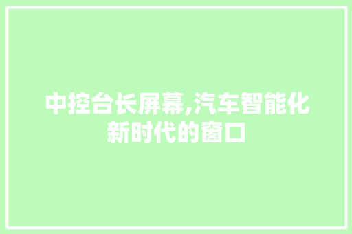 中控台长屏幕,汽车智能化新时代的窗口