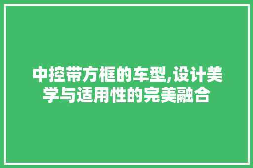 中控带方框的车型,设计美学与适用性的完美融合
