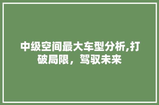 中级空间最大车型分析,打破局限，驾驭未来