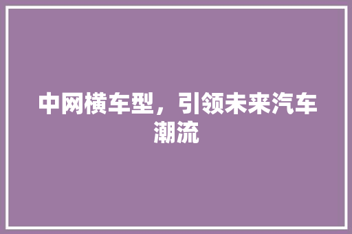 中网横车型，引领未来汽车潮流