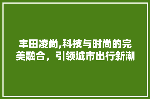 丰田凌尚,科技与时尚的完美融合，引领城市出行新潮流