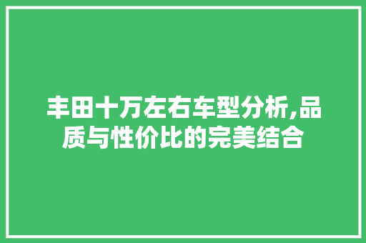 丰田十万左右车型分析,品质与性价比的完美结合