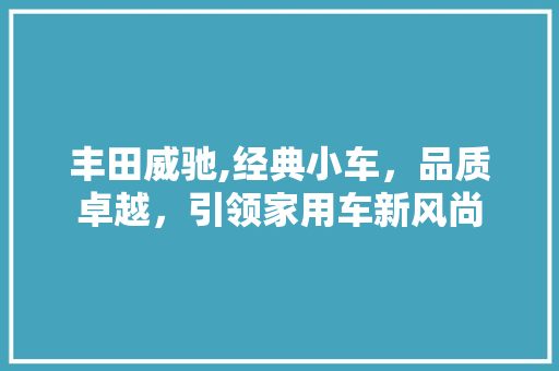 丰田威驰,经典小车，品质卓越，引领家用车新风尚