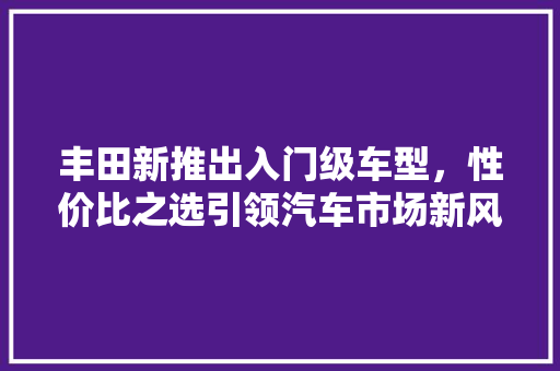 丰田新推出入门级车型，性价比之选引领汽车市场新风尚