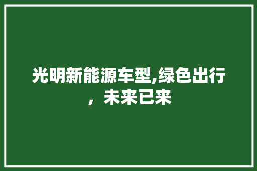 光明新能源车型,绿色出行，未来已来