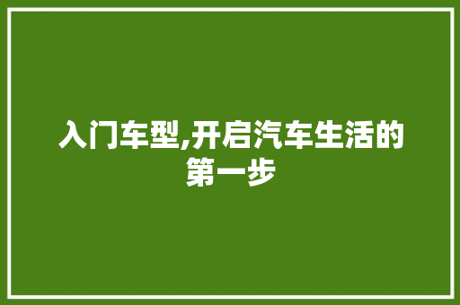 入门车型,开启汽车生活的第一步