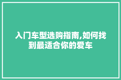 入门车型选购指南,如何找到最适合你的爱车
