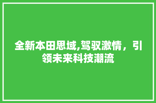 全新本田思域,驾驭激情，引领未来科技潮流