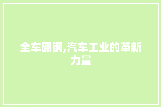 全车硼钢,汽车工业的革新力量
