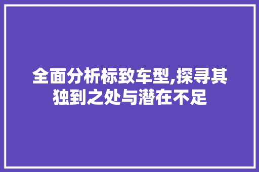 全面分析标致车型,探寻其独到之处与潜在不足
