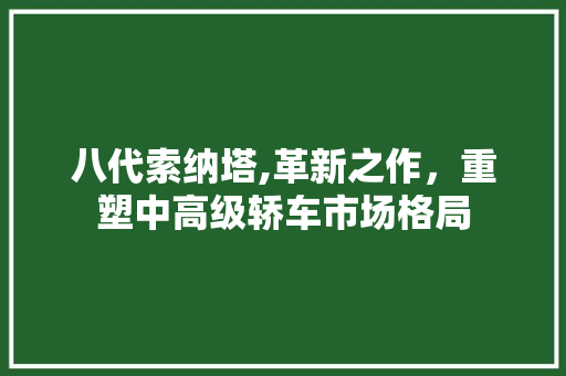 八代索纳塔,革新之作，重塑中高级轿车市场格局