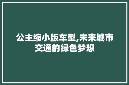 公主缩小版车型,未来城市交通的绿色梦想