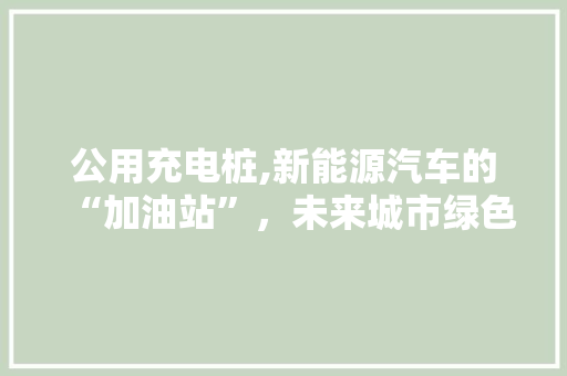 公用充电桩,新能源汽车的“加油站”，未来城市绿色出行的重要支柱