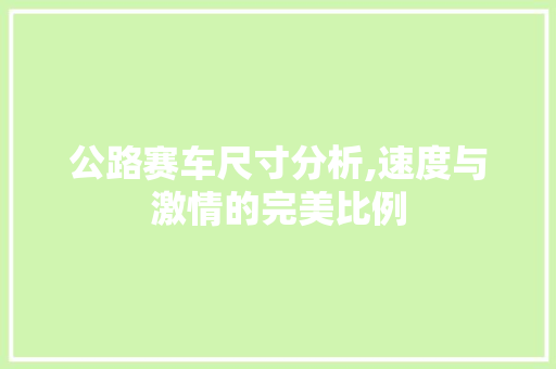 公路赛车尺寸分析,速度与激情的完美比例