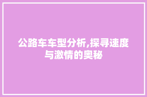 公路车车型分析,探寻速度与激情的奥秘