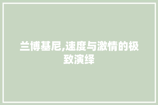 兰博基尼,速度与激情的极致演绎