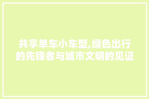 共享单车小车型,绿色出行的先锋者与城市文明的见证