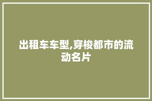 出租车车型,穿梭都市的流动名片 车灯配件
