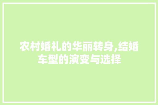 农村婚礼的华丽转身,结婚车型的演变与选择