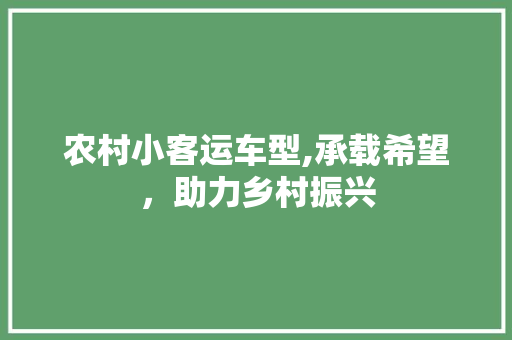 农村小客运车型,承载希望，助力乡村振兴