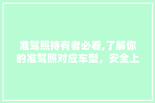 准驾照持有者必看,了解你的准驾照对应车型，安全上路行稳致远