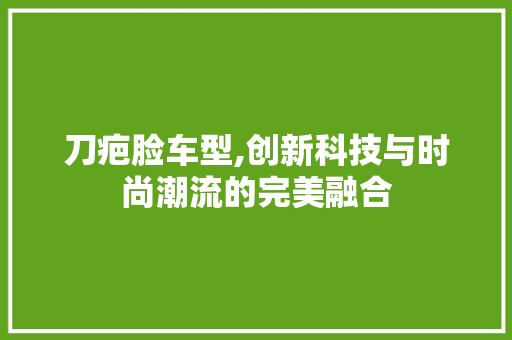 刀疤脸车型,创新科技与时尚潮流的完美融合